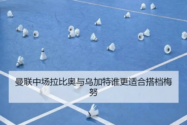 曼联中场拉比奥与乌加特谁更适合搭档梅努